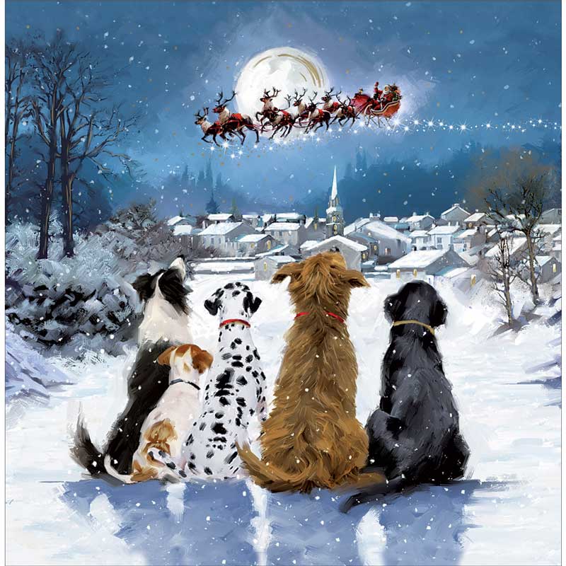 Dogs Watching Santa Claus Christmas Cards (Pack of 10)