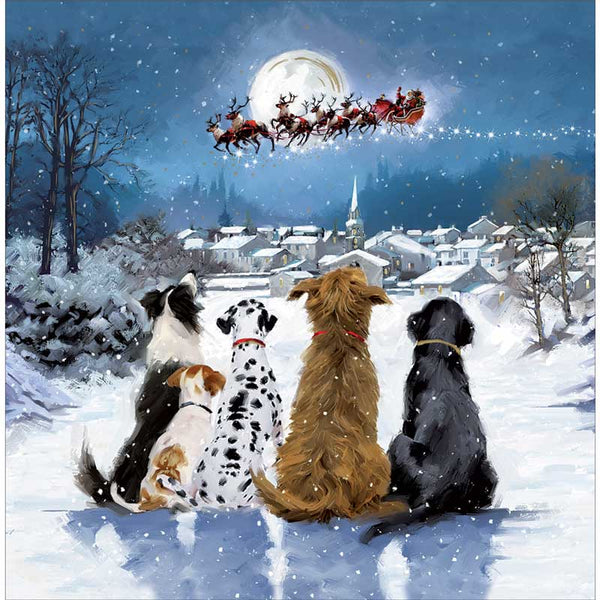 Dogs Watching Santa Claus Christmas Cards (Pack of 10)