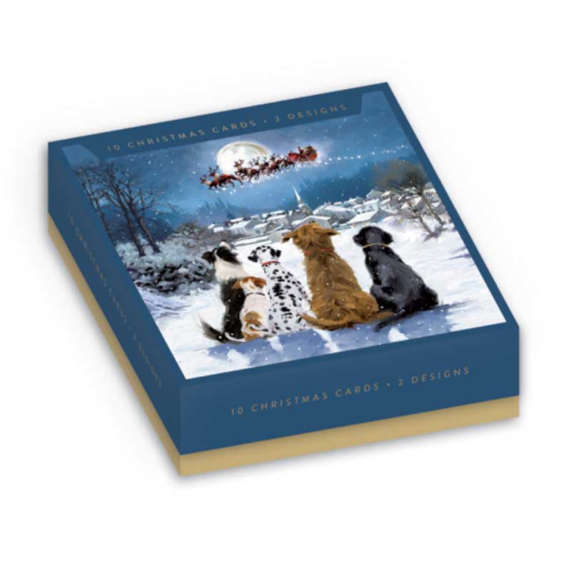 Dogs Watching Santa Claus Christmas Cards (Pack of 10)
