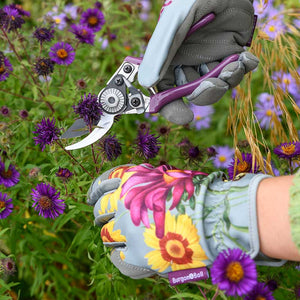 Burgon & Ball RHS Asteraceae Pruner & Holster Gift Set image 3