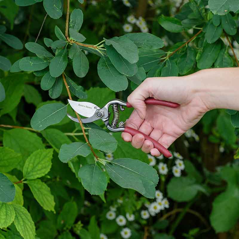 Kent & Stowe Garden Life Bypass Secateurs image 0