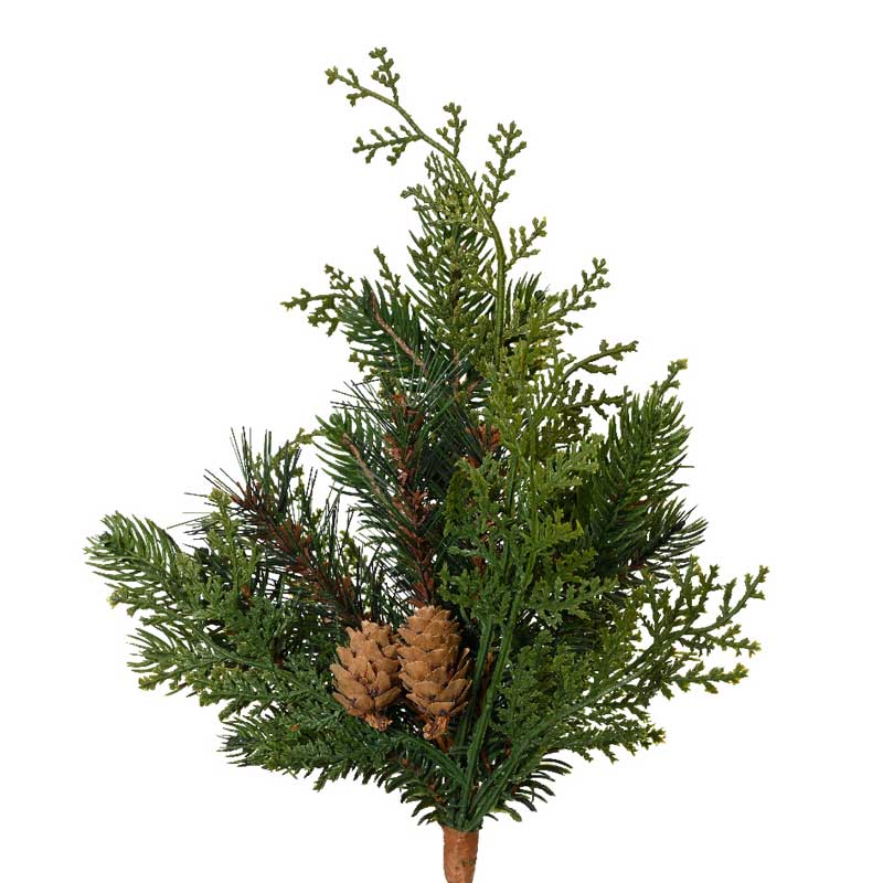 Everlands Cypress Branch image 0