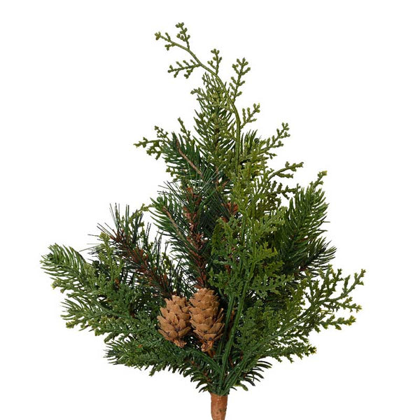Everlands Cypress Branch image 0