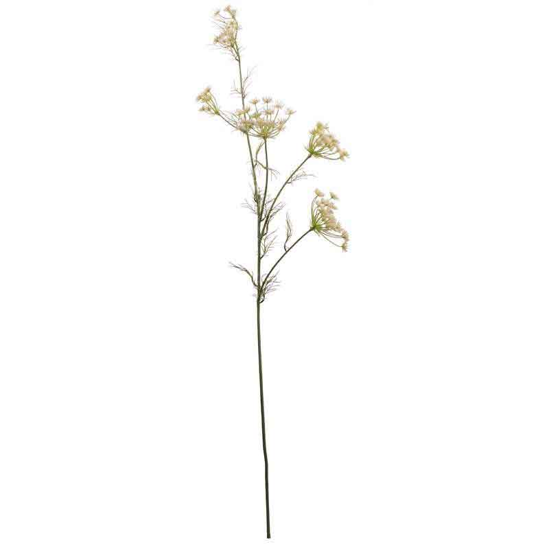 Large Queen Ann Lace Stem (122cm) image 0