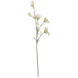 Large Queen Ann Lace Stem (122cm) image 1