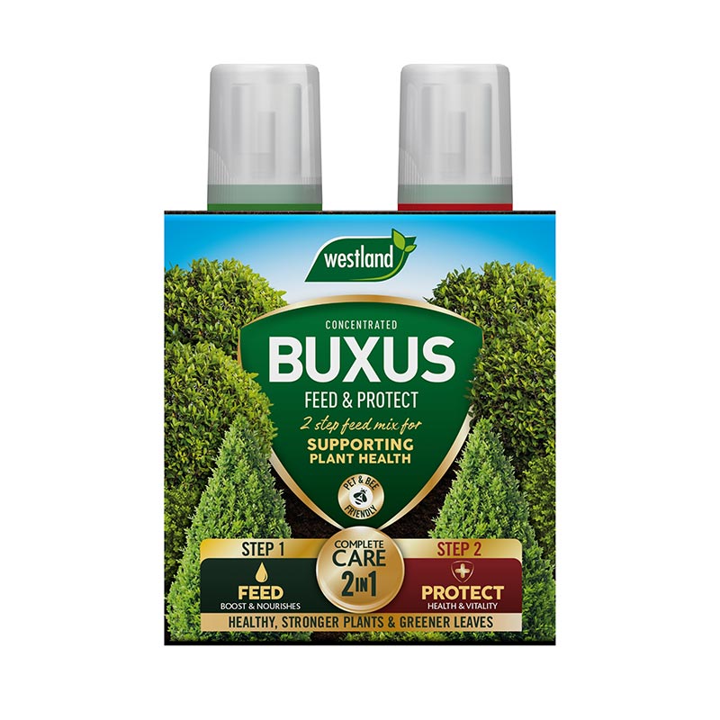 Westland 2-in-1 Feed & Protect Buxus 2 x 500ml image 0