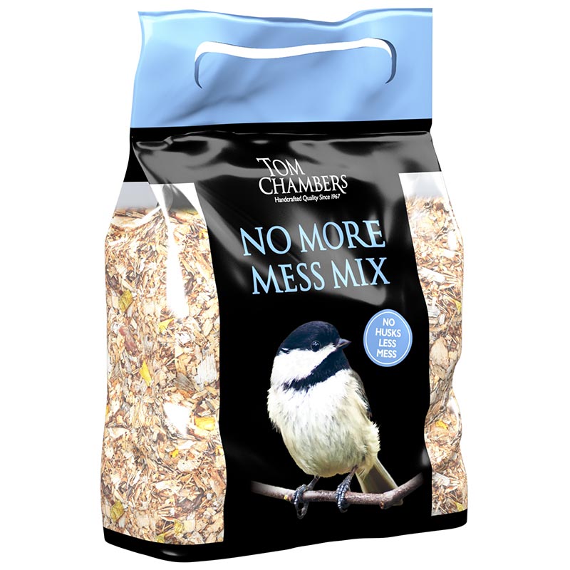 Tom Chambers No More Mess Mix image 0