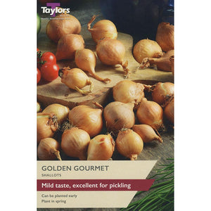 Golden Gourmet Shallot Sets (Pack of 12) image 0