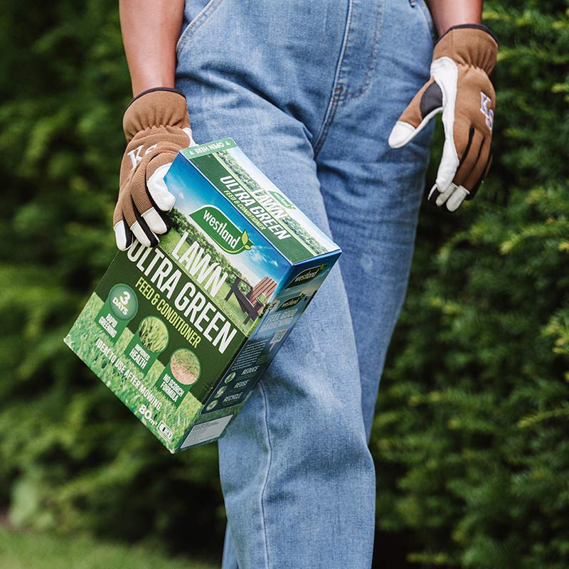 Westland Ultra Green Feed & Conditioner (80sq.m) image 0