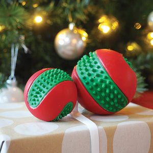 Zoon Dental GumBall image 2
