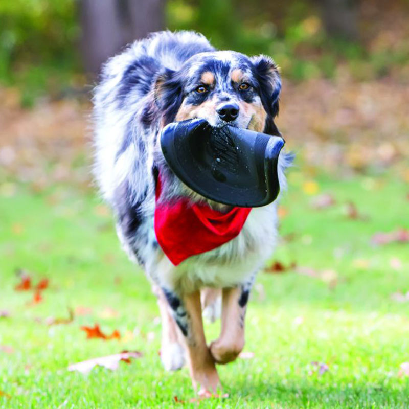 Kong Extreme Flyer Dog Toy image 0