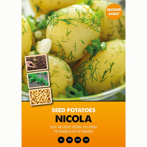 Nicola Second Early Seed Potatoes (2kg Bag) image 0