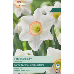Narcissus ‘High Society’ Daffodil (6 Bulbs) image 0
