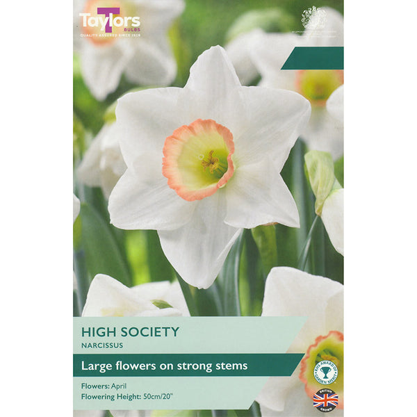 Narcissus ‘High Society’ Daffodil (6 Bulbs) image 0