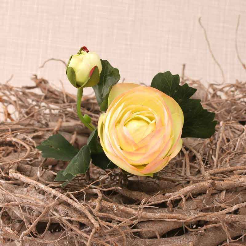 Cream Pink Ranunculus Stem (39cm) image 0