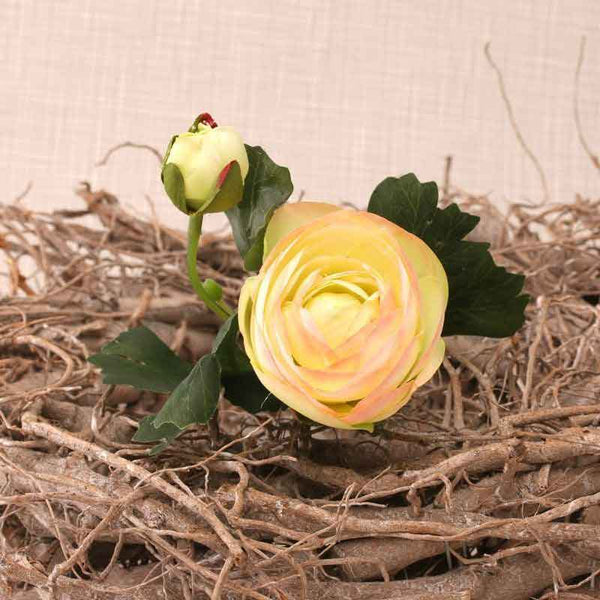 Cream Pink Ranunculus Stem (39cm) image 1