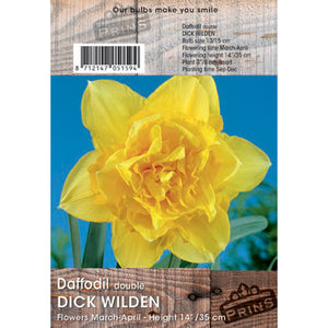 Narcissus ‘Dick Wilden’ Double Daffodil (3kg Bag of Bulbs) image 0