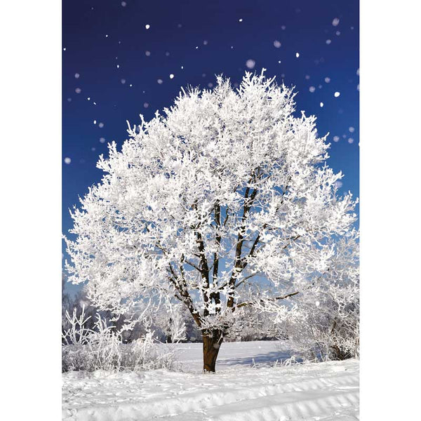 Ling Design Big Value Box - Winter Scenes (Pack of 24) image 1