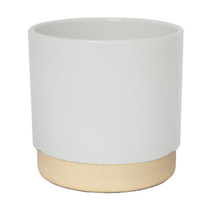 Ivyline Enos Indoor Plant Pot Range - White, 10cm image