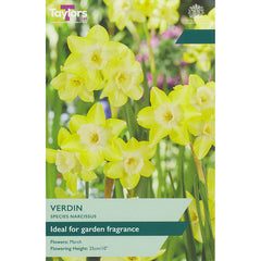 Narcissus ‘Verdin’ Daffodil (8 Bulbs) image 0