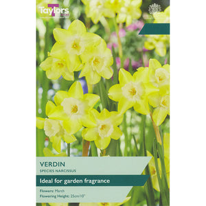 Narcissus ‘Verdin’ Daffodil (8 Bulbs) image 0