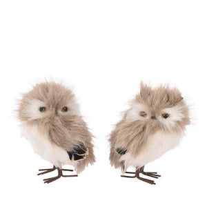 Decoris Standing Taupe Owl (Assorted Designs) image 1