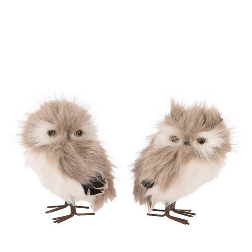 Decoris Standing Taupe Owl (Assorted Designs) image 1