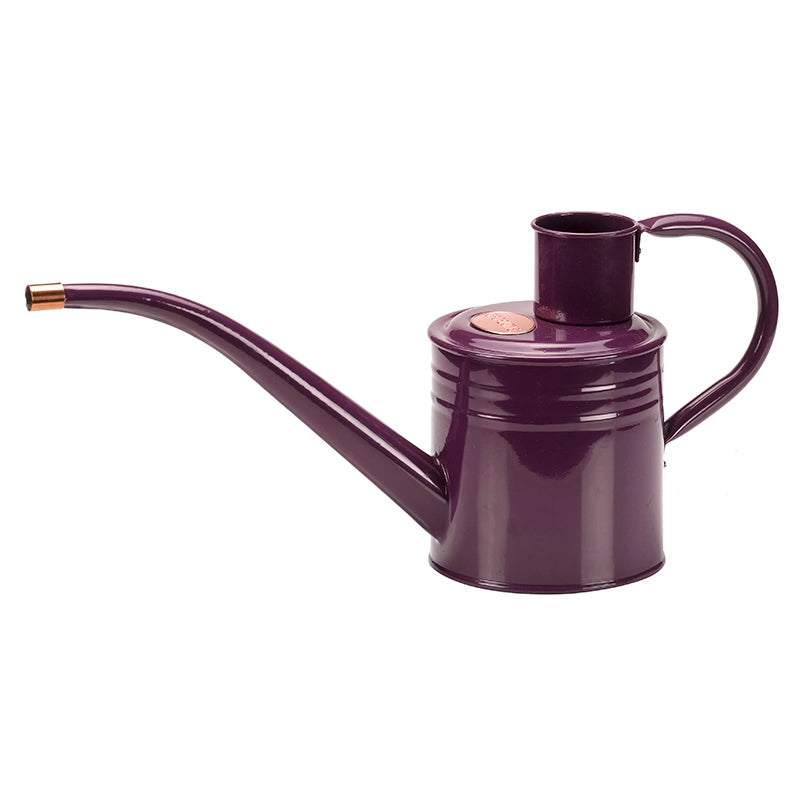 GroZone Home & Balcony Watering Can - Violet (1 litre) image 0