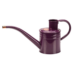 GroZone Home & Balcony Watering Can - Violet (1 litre) image 0