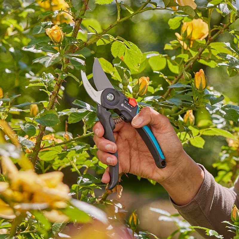 GARDENA Premium Cut Flex Garden Bypass Secateurs (Cutting dia. 24mm) image 0