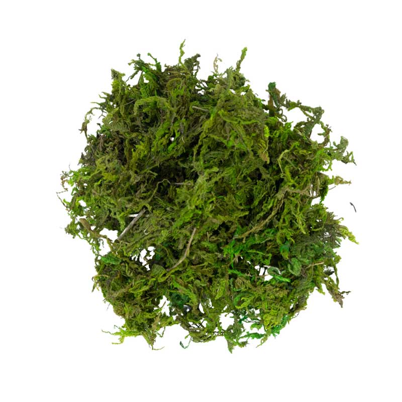 My Village Green Moss (30g) image 0