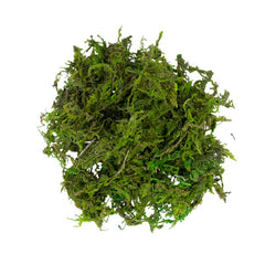 My Village Green Moss (30g) image 0