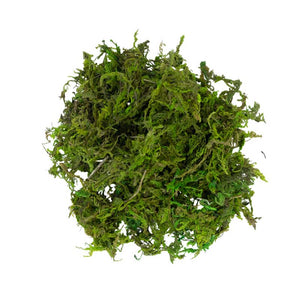 My Village Green Moss (30g) image 0