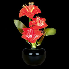 Premier LED Fibre Optic Poinsettias image 0