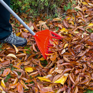 Darlac Rake-n-Shift (Small) image 2