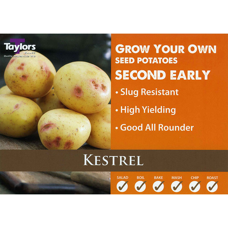Kestrel Second Early Seed Potatoes image 0