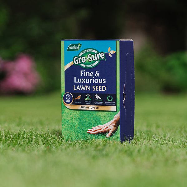 Westland Gro-Sure Fine & Luxurious Lawn Seed 30m sq. image 2