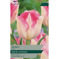 Tulip 'Infiniti' (7 bulbs) image 0