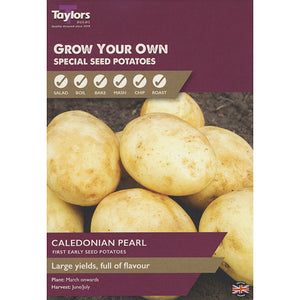 Caledonian Pearl First Early Seed Potatoes - Pack of 8 image