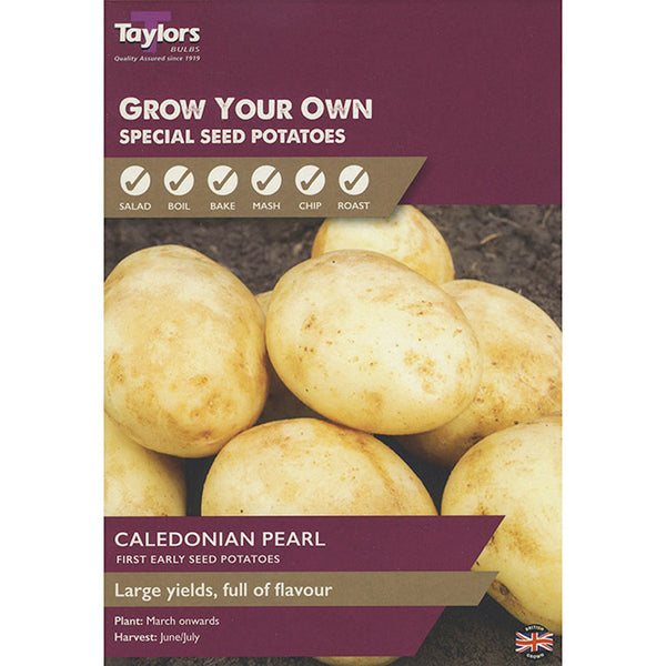 Caledonian Pearl First Early Seed Potatoes - Pack of 8 image