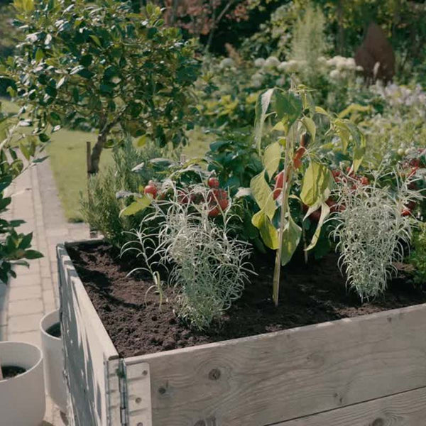 GARDENA Micro-Drip Irrigation System for Raised Beds & Flower Beds (35 plants) image 4