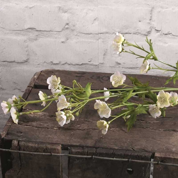 White Seventh Heaven Spray (73cm) image 0