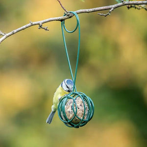 Lima Fat Ball Scoop & Feeder image 3