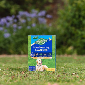Westland Gro-Sure Hard Wearing Lawn Seed 30m sq. image 1