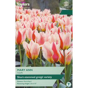 Tulip ‘Mary Ann’ (8 Bulbs) image 0