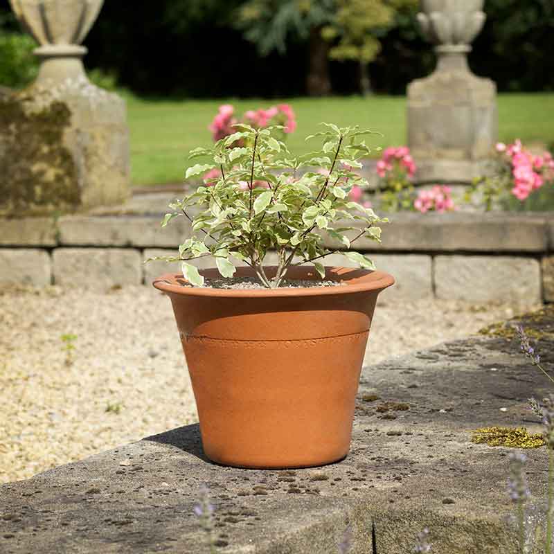 Yorkshire Flowerpots Harrogate Pot (Small) image 0