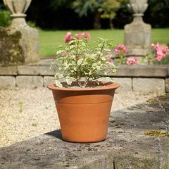 Yorkshire Flowerpots Harrogate Pot (Small) image 0