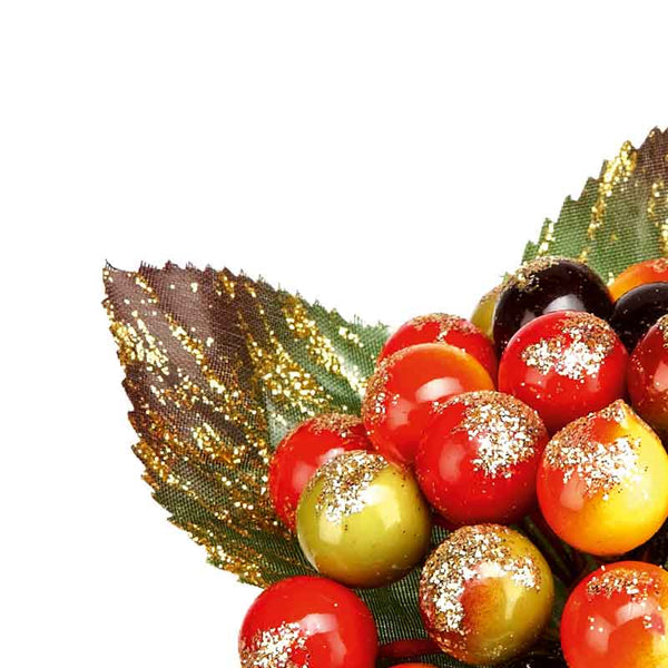 Premier Delarobia Berry Pick image 1