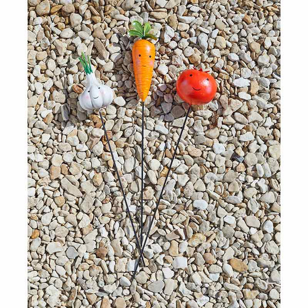 Carrot, Garlic & Tomato Vegetable Stakes (Assorted Designs) image 5