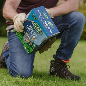 Westland Gro-Sure Smart Lawn Seed Shady & Dry - 20m sq. image 2